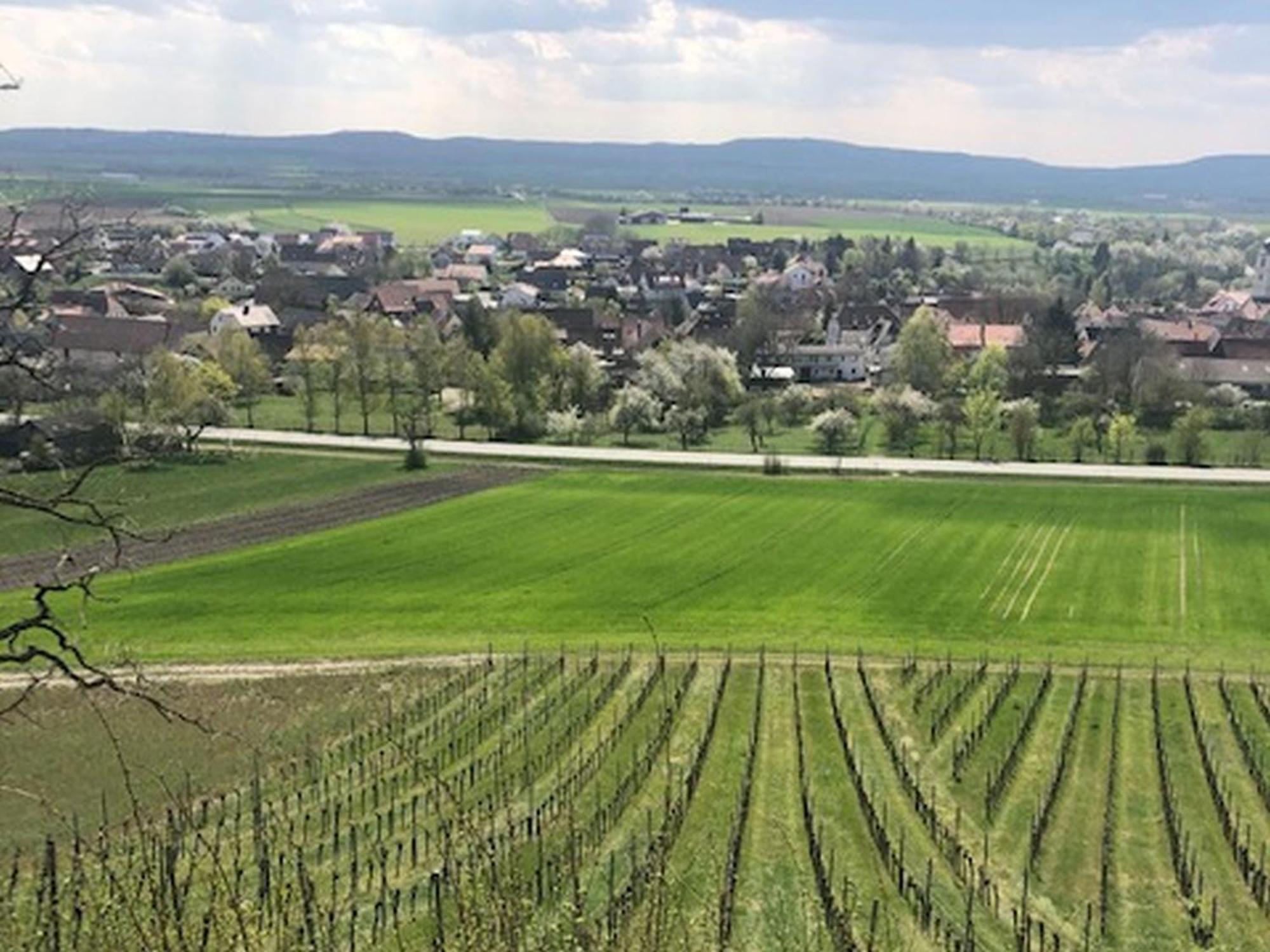 Ferienwohnung Weinberg Markt Einersheim エクステリア 写真